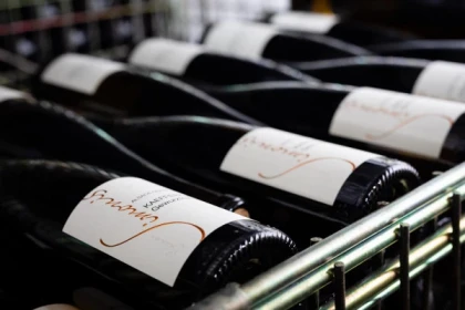 Initiation à l'Art de la Dégustation à Ammerschwihr - Bonjour Fun