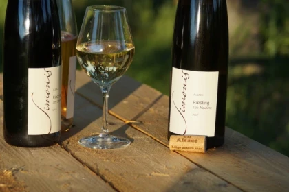 Initiation à l'Art de la Dégustation à Ammerschwihr - Bonjour Fun