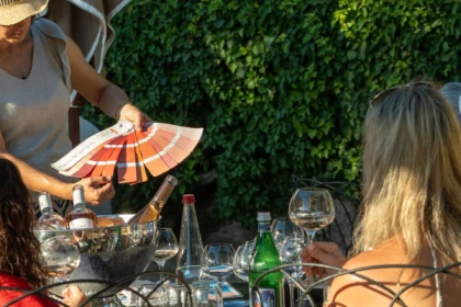 Initiation à la dégustation à domicile, Golfe de Saint-Tropez - Bonjour Fun