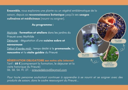 Journée automne au Prieuré autour des plantes médicinales de saison - Bonjour Fun