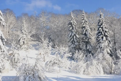 Journée en raquettes à neige privative au Ballon Alsace - Bonjour Fun