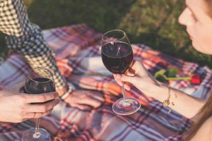 Journée Pique Nique chez le Vigneron - Bonjour Fun