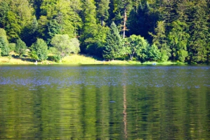 Journée raquettes à neige au Rothenbakopf - Bonjour Fun