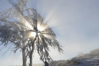 Journée raquettes privative au Rouge Gazon - Bonjour Fun