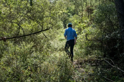 La balade biodiversité entre vigne et forêt - Bonjour Fun