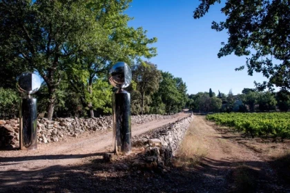 La balade en voiturette dans les vignes - Bonjour Fun