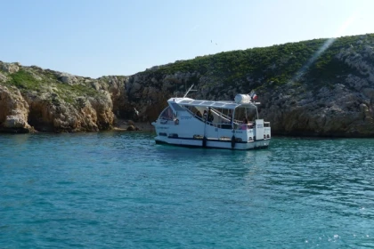 La biodiversité des îles du Frioul : balade/baignade - billetterie ou privatisation 2h - Bonjour Fun