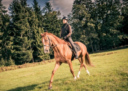 La Mandallaz - Bonjour Fun