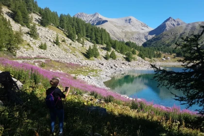 La Vie des marmottes dans le Mercantour - Bonjour Fun