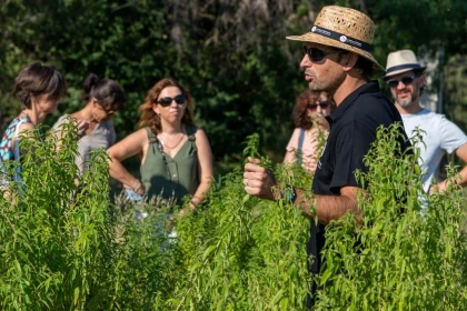 Lavender and other fragrant plants guided tour (ENGLISH guided tour + audioguides FR/ESP/ITA/PORT/GER) - Bonjour Fun