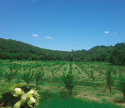 Le 2 parcours - Bonjour Fun