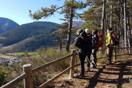 Le Brame du Cerf à Colmars les Alpes - Bonjour Fun