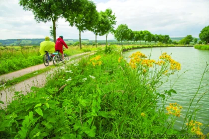 LE LONG DE LA VIA FRANCIGENA - Bonjour Fun
