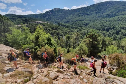 LE PLONGEON CORSE  (Séjour en liberté) - Bonjour Fun