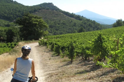 Le Vignoble à Vélo (assistance éléctrique) - Bonjour Fun