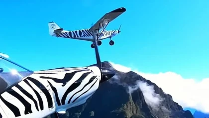 Les cirques - Bonjour Fun