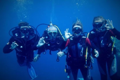 Level 1 Training - Bonjour Fun