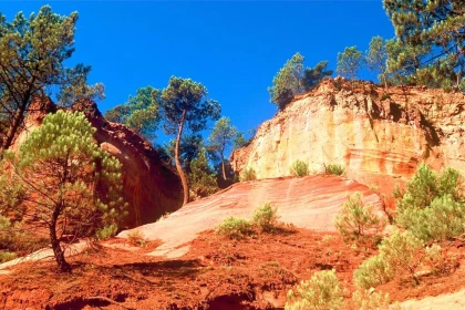 LOCATION 5 JOURS - Bonjour Fun