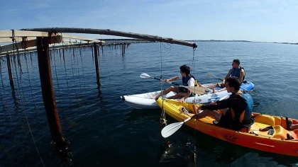 Location kayak monoplace - Bonjour Fun
