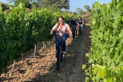 Location Vélo (VTTAE) + dégustation de vin - Bonjour Fun