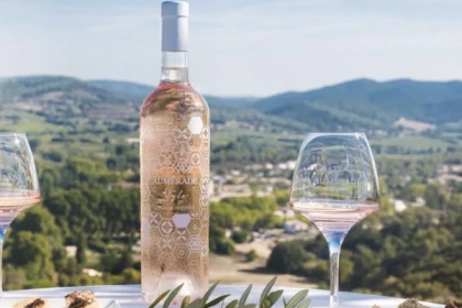 Location Vélo (VTTAE) + dégustation de vin - Bonjour Fun