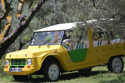 Louer une Méhari - Bonjour Fun