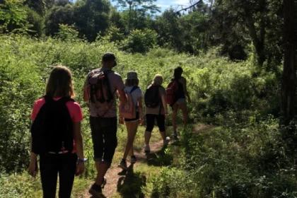 Marche Afghane - Bonjour Fun