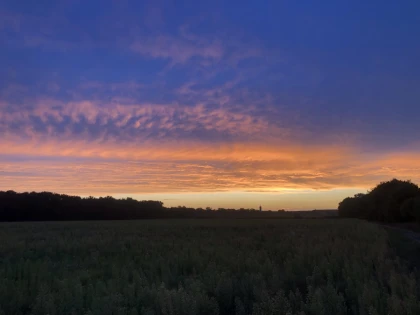 Marche en forêt du coucher de soleil aux premières étoiles - Bonjour Fun