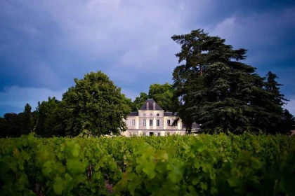 Nouveau au départ du château Haut Nouchet, offrez-vous une balade en trottinette  dans les vignobles, suivie d'une dégustation de 5 vins (2h00), avec options dégustation gourmande possible - Bonjour Fun