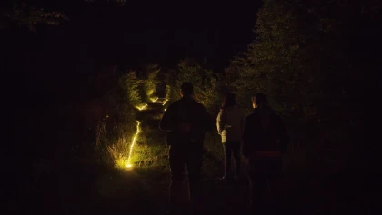Nuit contée sous les étoiles à la colline Sainte-Hélène - Bonjour Fun