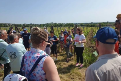 Osez le vin au féminin & Pique-nique au domaine (en anglais) - Bonjour Fun