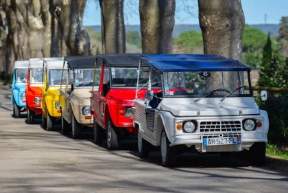 Pack cortège mariage - Bonjour Fun