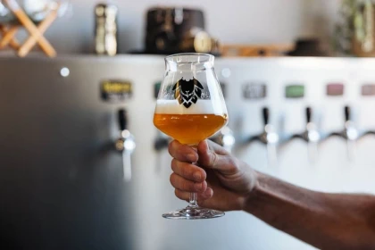 Partir en quête des secrets de la bière à Cordes sur Ciel - Bonjour Fun