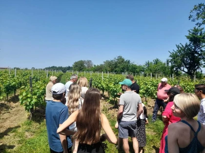 PIQUE-NIQUE CHEZ LE VIGNERON INDEPENDANT® - Bonjour Fun