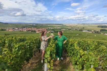 Pique-nique Dégustation dans le vignoble de champagne - Bonjour Fun
