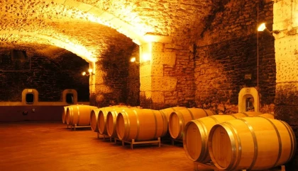 Pique-nique du Vigneron Indépendant - Bonjour Fun