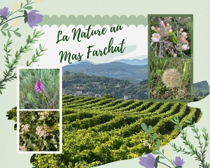 Portes ouvertes x Pique Nique du Vigneron Indépendant - Bonjour Fun