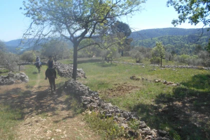 Promenade initiation à poney/cheval avec vue sur le lac - Bonjour Fun