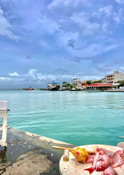 Rallye de Pointe à Pitre - Bonjour Fun