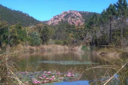 Rando Massif de l'Estérel - l'Etang d'Aubert & Baladou - Bonjour Fun
