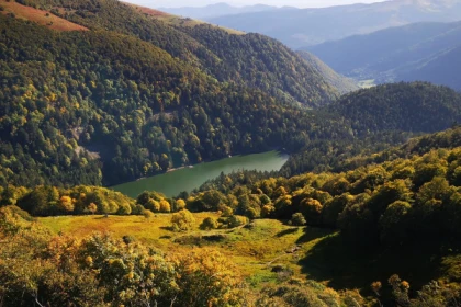 Randonnée à la découverte des animaux - Bonjour Fun