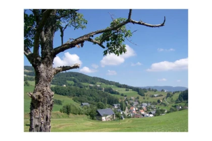 Randonnée au pays Welche - Bonjour Fun