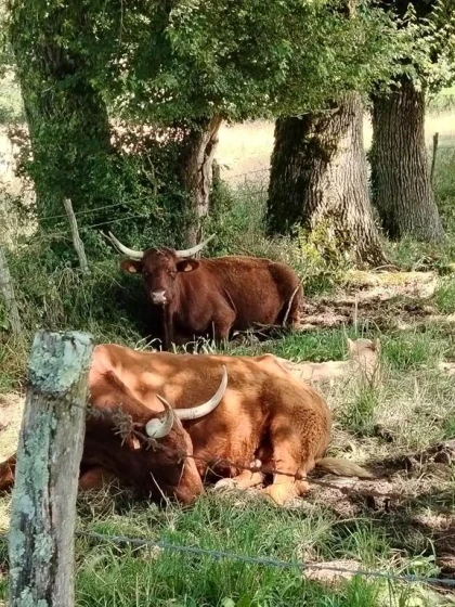 Randonnée autour de Villeneuve d'Aveyron - Bonjour Fun