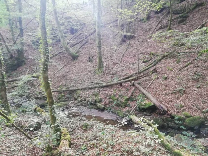 Randonnée dans le bassin de DECAZEVILLE - Bonjour Fun