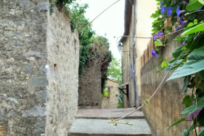 Randonnée découverte et plantes comestibles - Pays de Fayence - Bonjour Fun