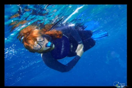 * Randonnée palmée autonome - Bonjour Fun