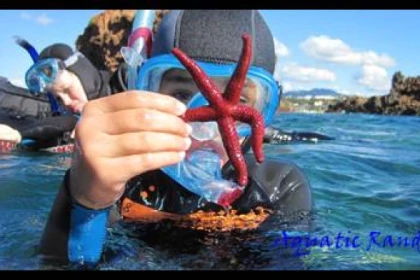 * Randonnée palmée autonome - Bonjour Fun