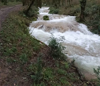 Randonnée Pédestre la couasne de Floirac et le Caillon - Bonjour Fun