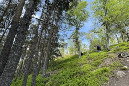 Randonnées guidées du champ de bataille du Linge - Bonjour Fun