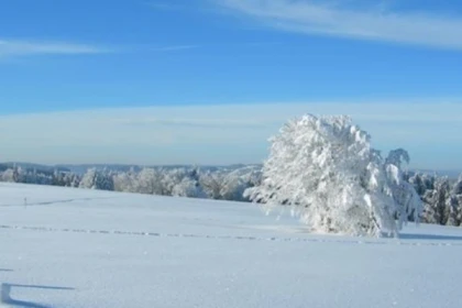 Raquettes à neige aux chaumes du Hohneck - Bonjour Fun